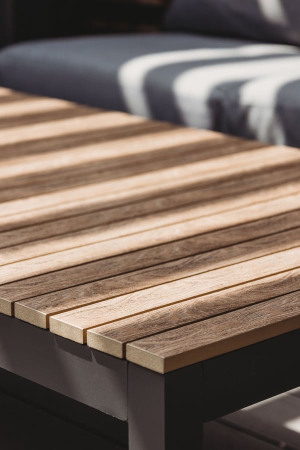 Dinoli New Live Photos - 9