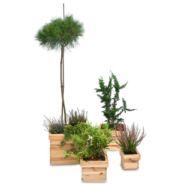 Large Wooden Square Flower Pot - 5