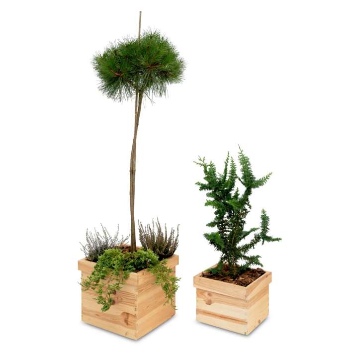 Medium Wooden Square Flower Pot - 5